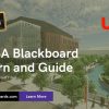 UTSA Blackboard Learn & Login Guide